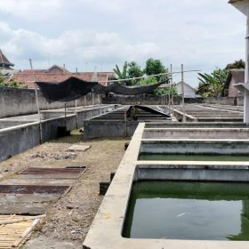Jual Rumah di Jalan Garuda, Kediri - Area Kolam Budidaya Ikan Dari Sudut Berbeda