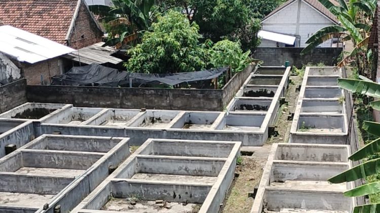 Jual Rumah di Jalan Garuda, Kediri - Area Kolam Tampak Dari Atas Rooftop