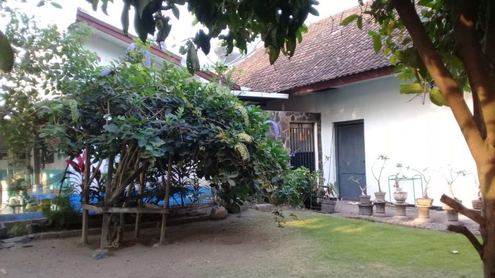 Rumah Dijual di Pare Kediri - Halaman Belakang